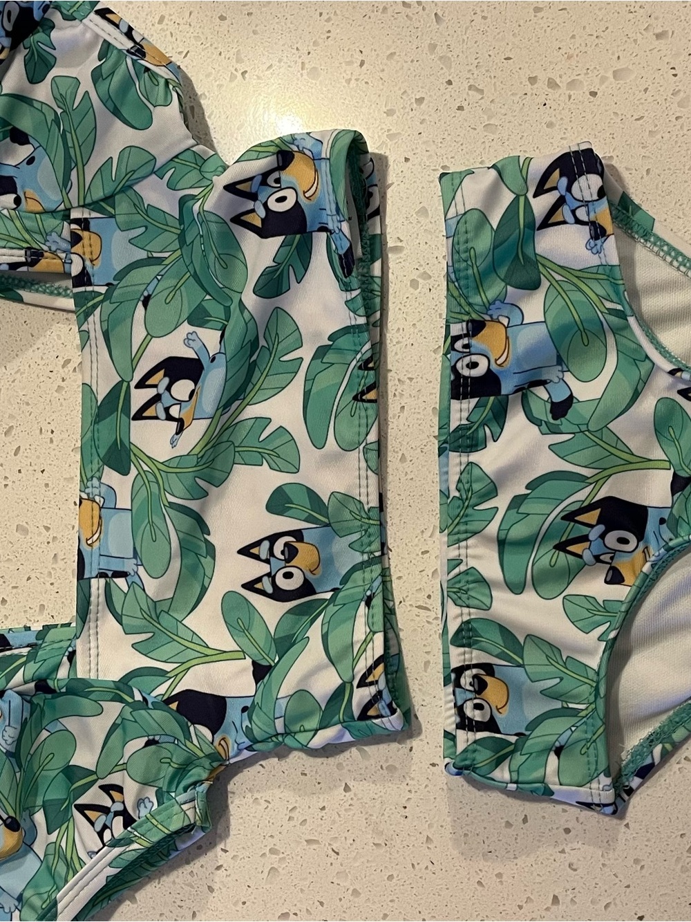 2t Bluey Bikini with Cap Sleeve